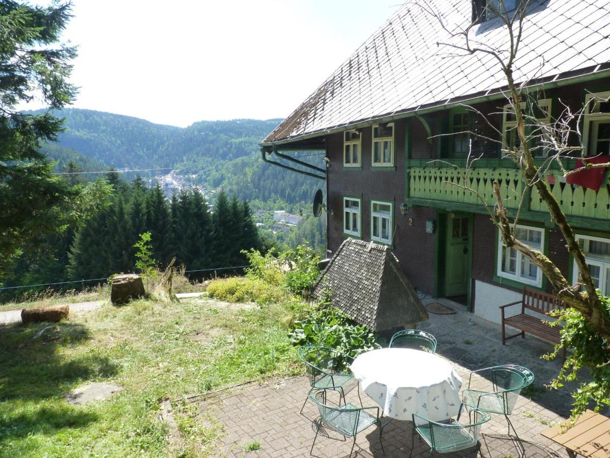 Appartement Feissesberghof à Triberg im Schwarzwald Extérieur photo