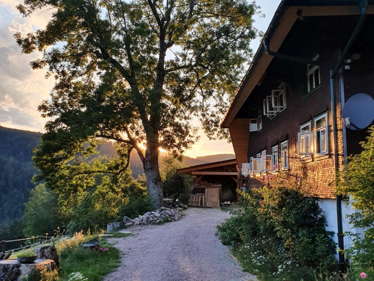 Appartement Feissesberghof à Triberg im Schwarzwald Extérieur photo