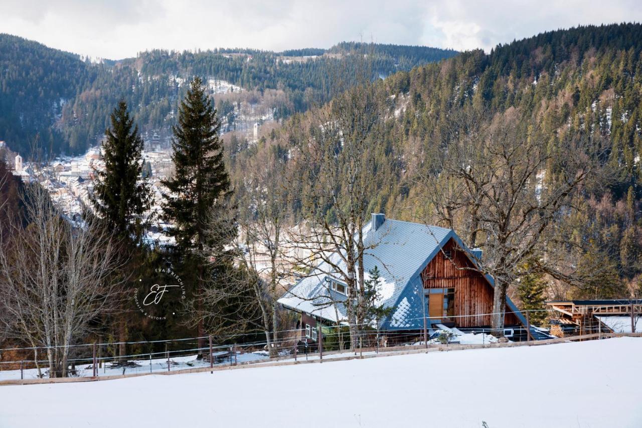 Appartement Feissesberghof à Triberg im Schwarzwald Extérieur photo