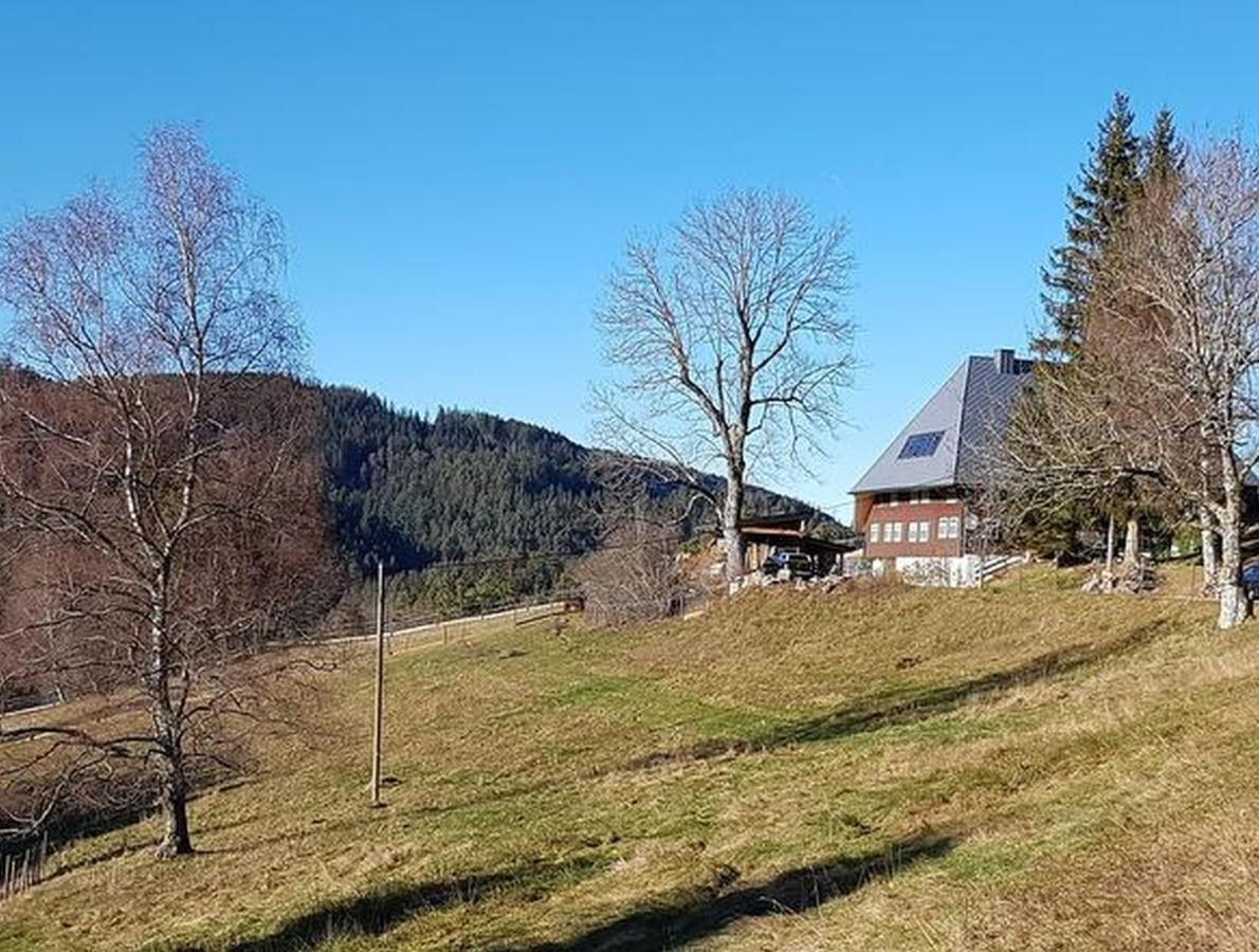 Appartement Feissesberghof à Triberg im Schwarzwald Extérieur photo